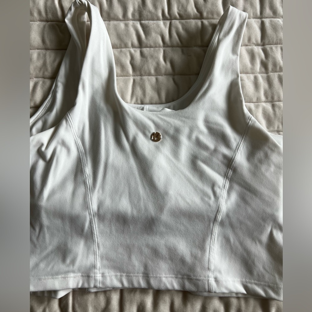Buff bunny crop top
